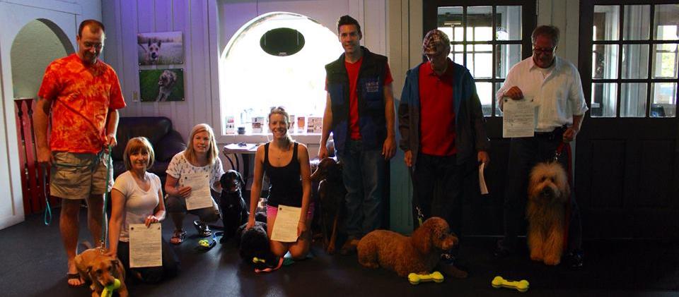 Canine Scholars Dog Training Canine Scholars Dog Training