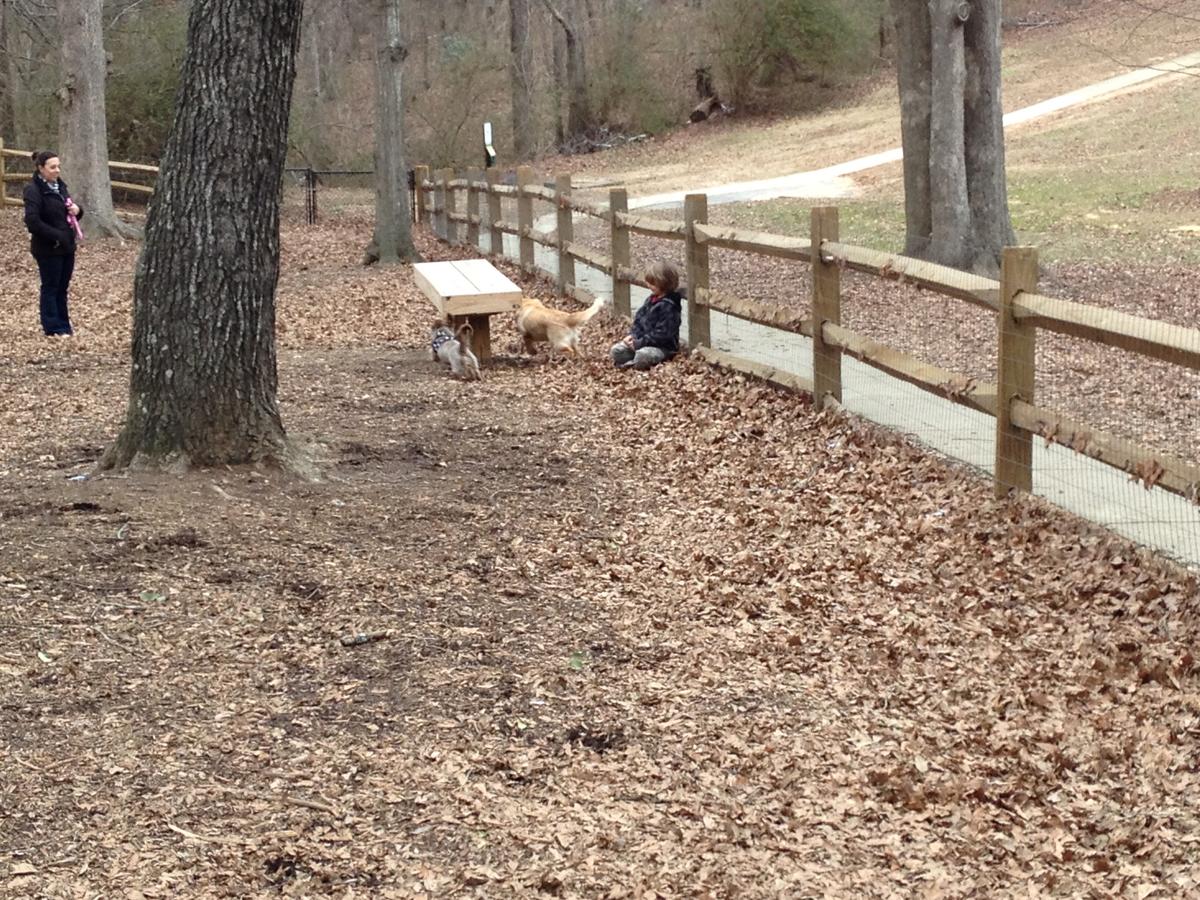 Simpsonville Dog Spot