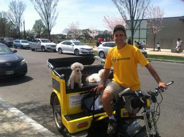 Pet Friendly Nonpartisan Pedicab