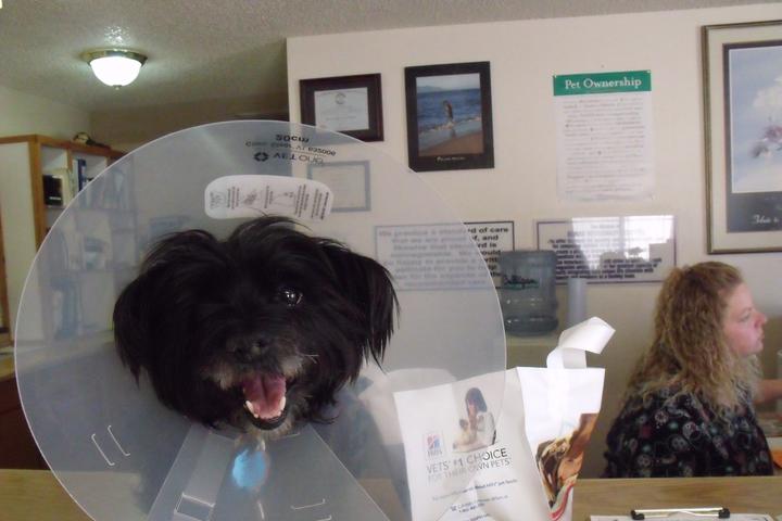 Pet Friendly Kanab Veterinary Hospital