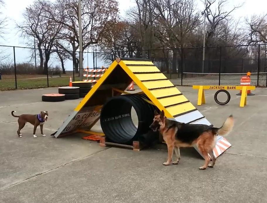 BricQ Motion Lessons - Dog Obstacle Course