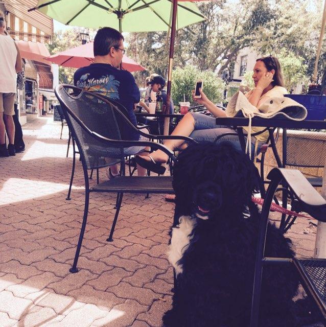 Cocoa Beach Dog Friendly Restaurants: Eat, Play, and Relax