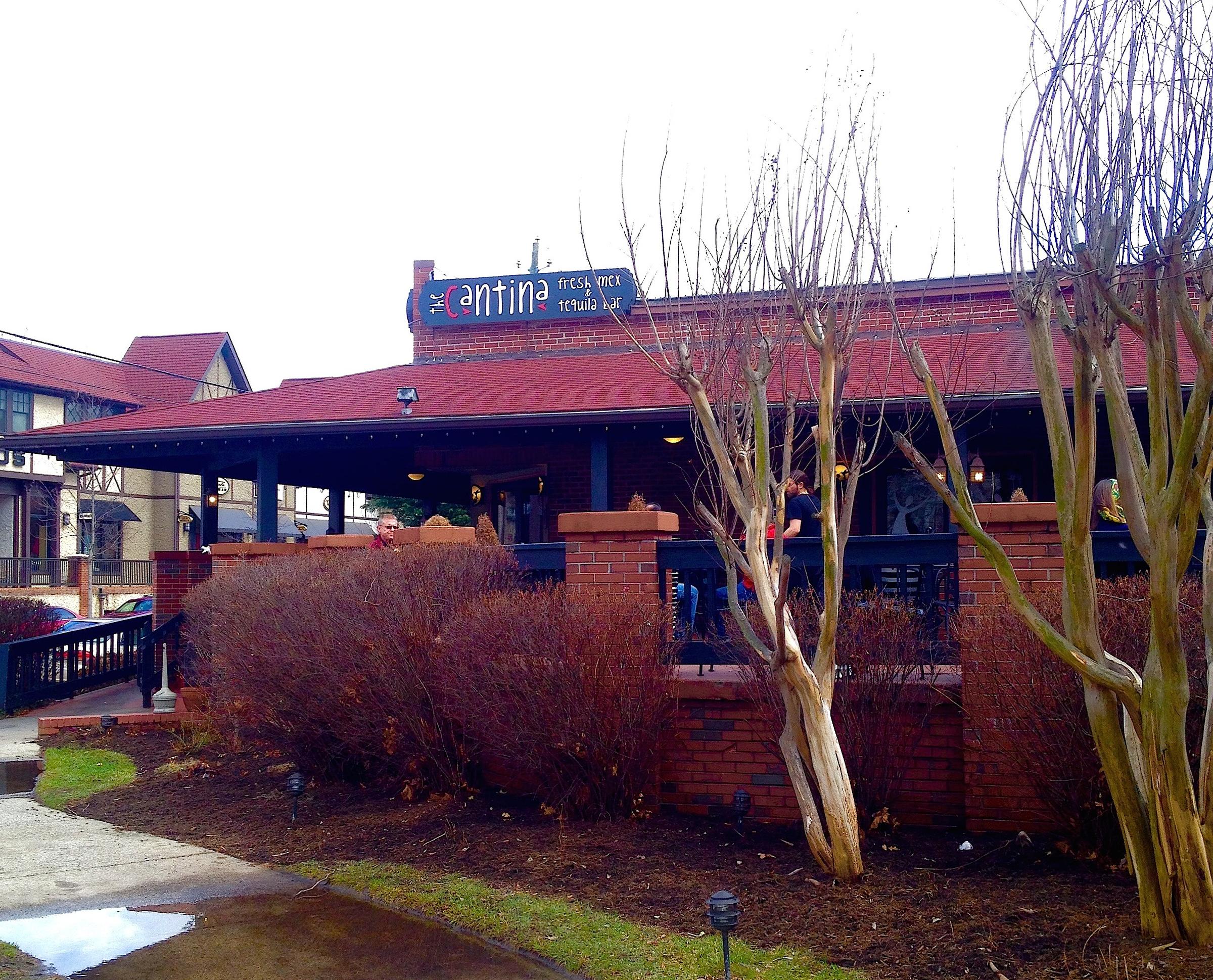 The Cantina at Historic Biltmore Village Is Pet Friendly