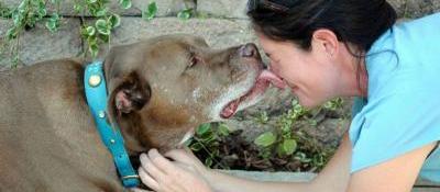 Adventure Walking & Pawsitive Pet Sitting, LLC Adventure Walking & Pawsitive Pet Sitting, LLC