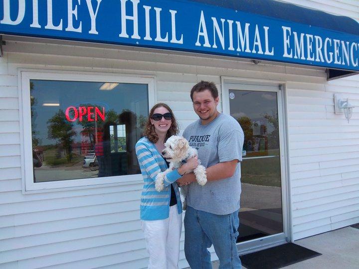 Pet Friendly Diley Hill Animal Emergency Center