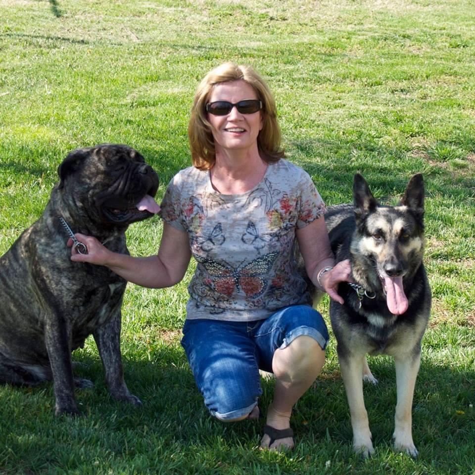 pigeon ridge german shepherds