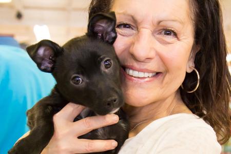 Pet Friendly A Forever Home Rescue Foundation