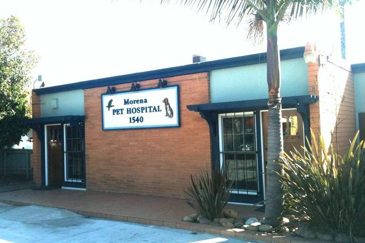 Pet Friendly Morena Pet Hospital