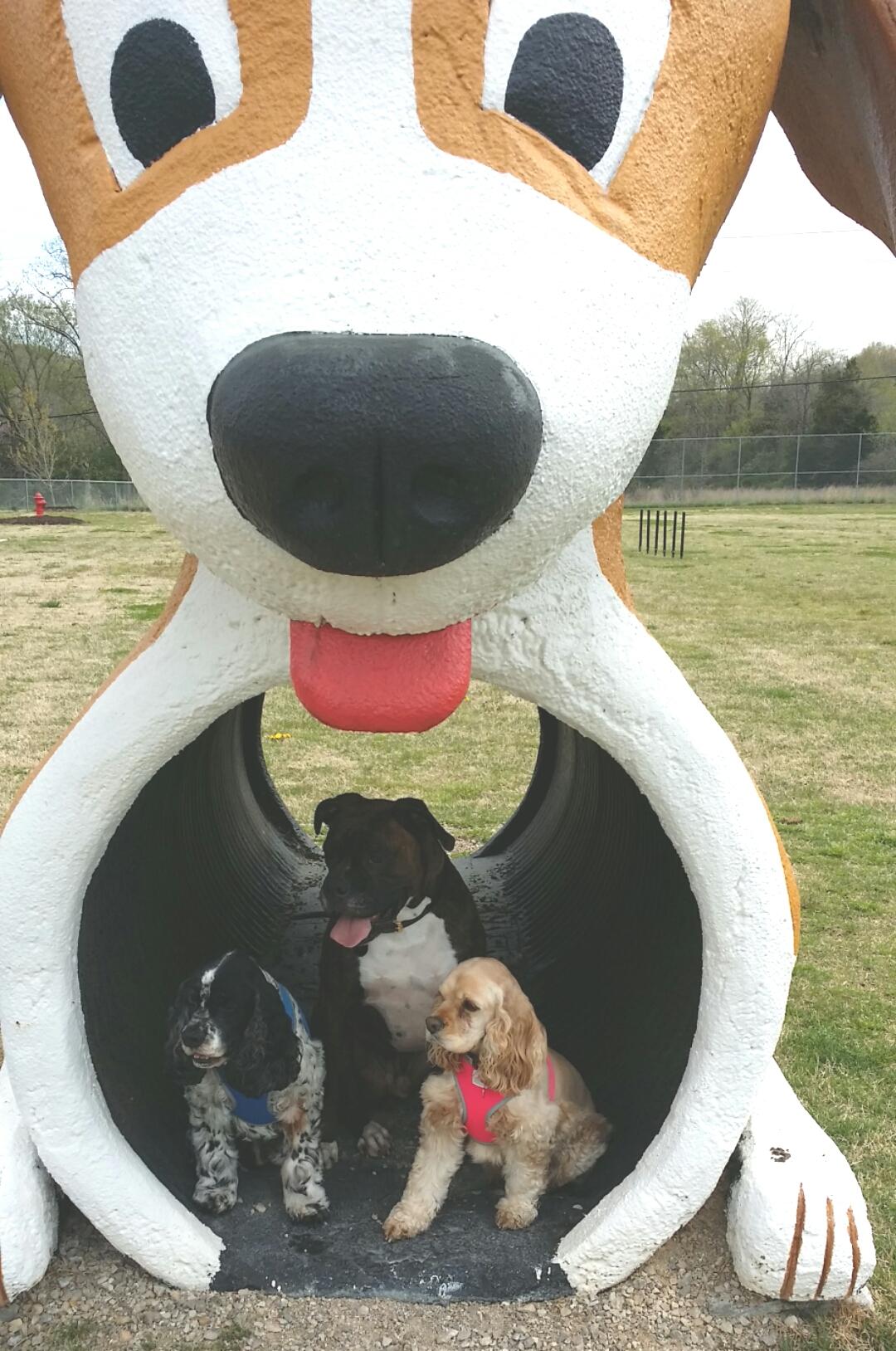 OffLeash Dog Parks in Branson, MO BringFido