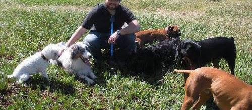 dog walker dog walker