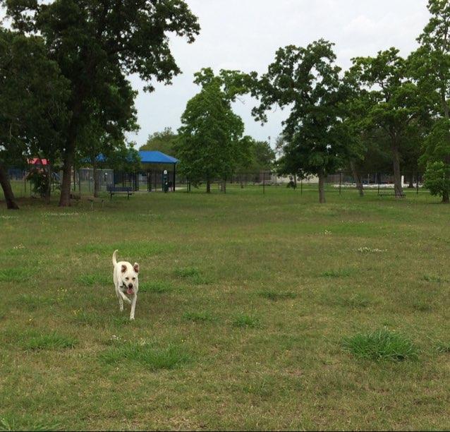 Off Leash Dog Parks In La Porte Tx Bringfido