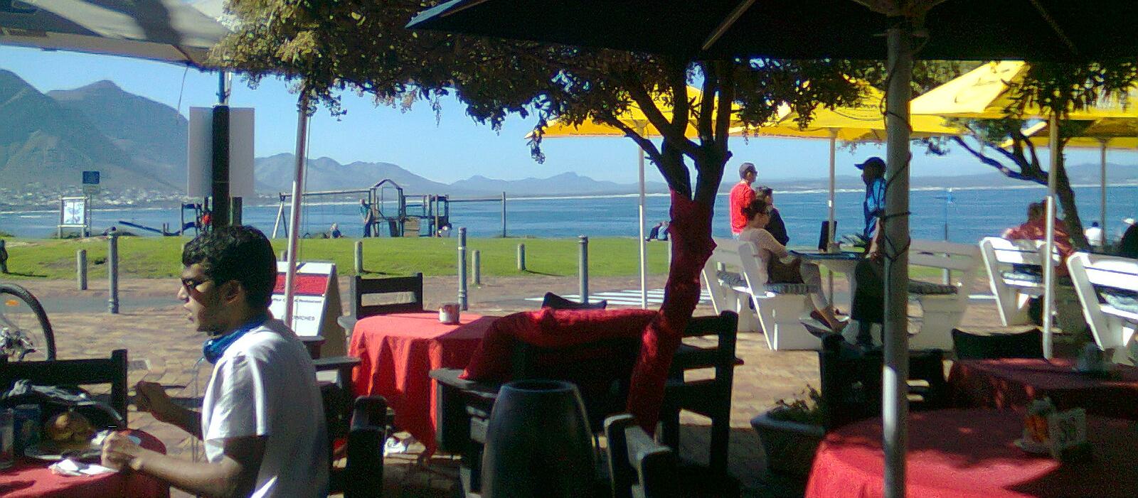 Beautiful outside seating area with views of the bay. Umbrellas & tablecloths are a cheerful bright red. Lawn area across from coffee shop Beautiful outside seating area with views of the bay. Umbrellas & tablecloths are a cheerful bright red. Lawn area across from coffee shop