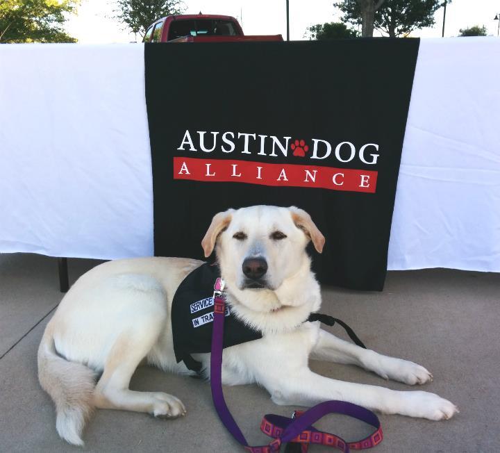 Pet Friendly Austin Dog Alliance