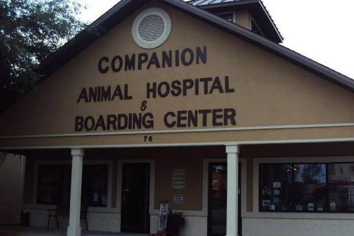 Pet Friendly Companion Animal Hospital & Boarding Center