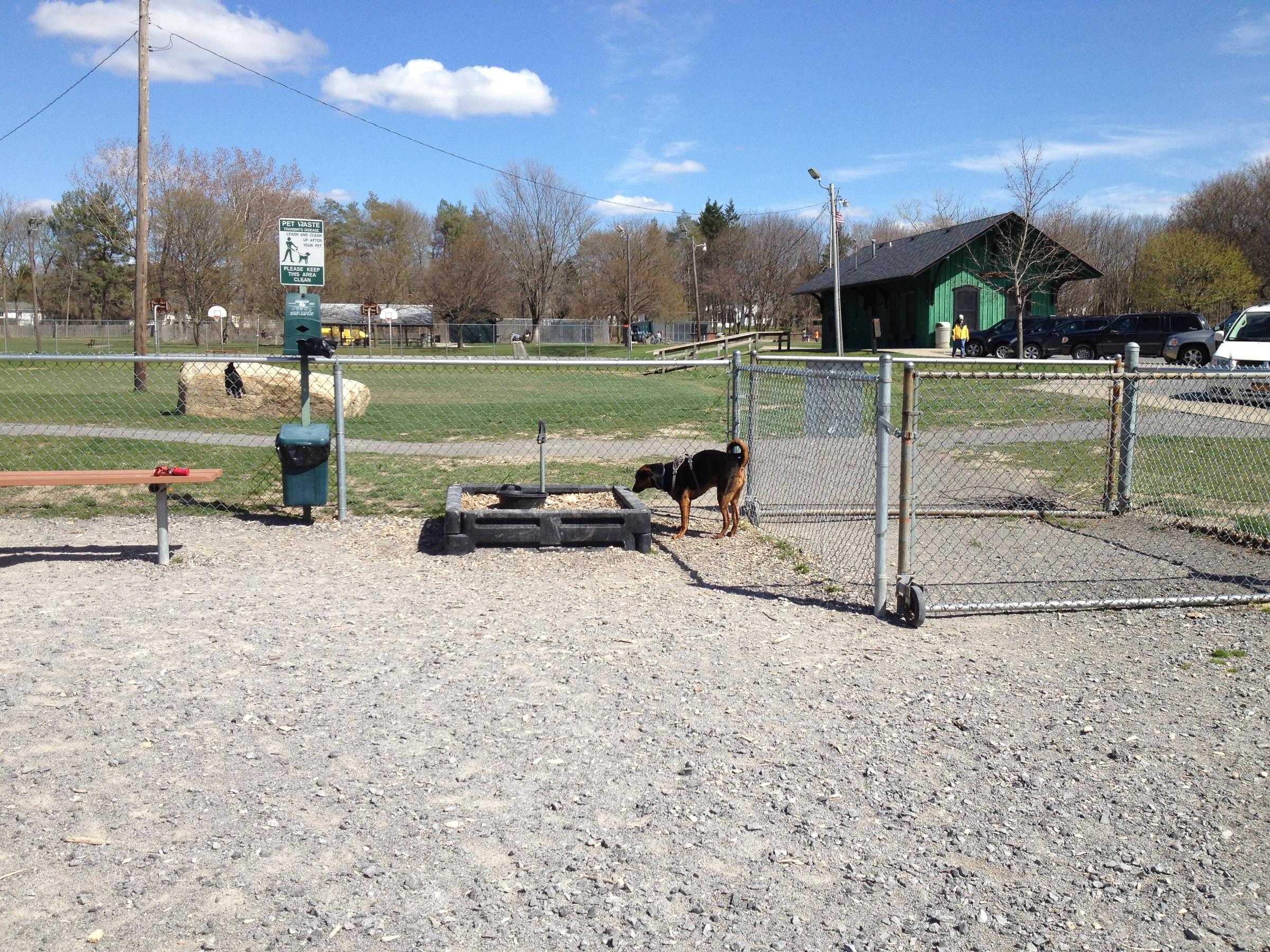 Pet Friendly Dog Park at Highland Park