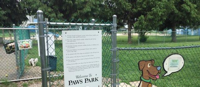 Dog Friendly South Williamsport, PA