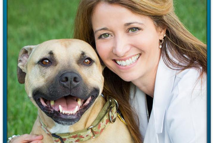 Pet Friendly Staples Mill Animal Clinic