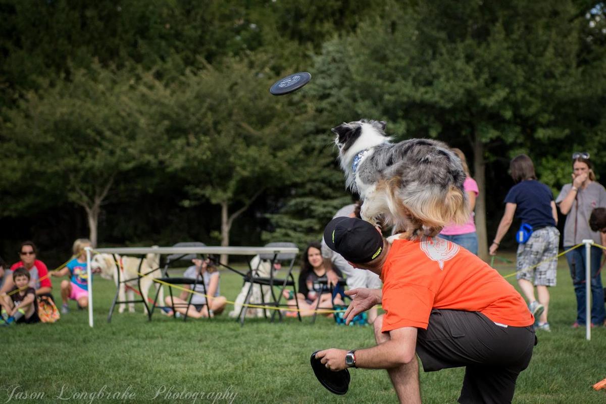 Dublin Pet Fair