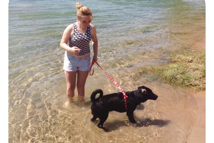 Dog Friendly Activities In Laughlin Nv Bringfido