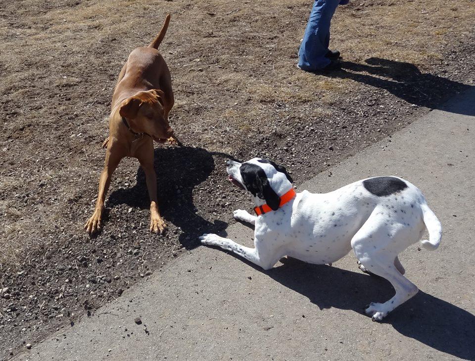 Off Leash Dog Parks in Hartford WI BringFido