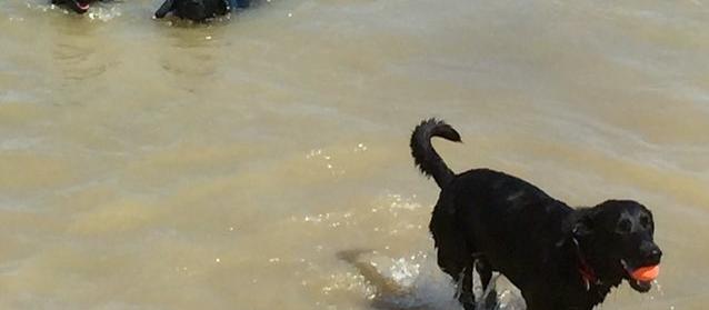 Great day for a dip in Lake Elmo! Great day for a dip in Lake Elmo!