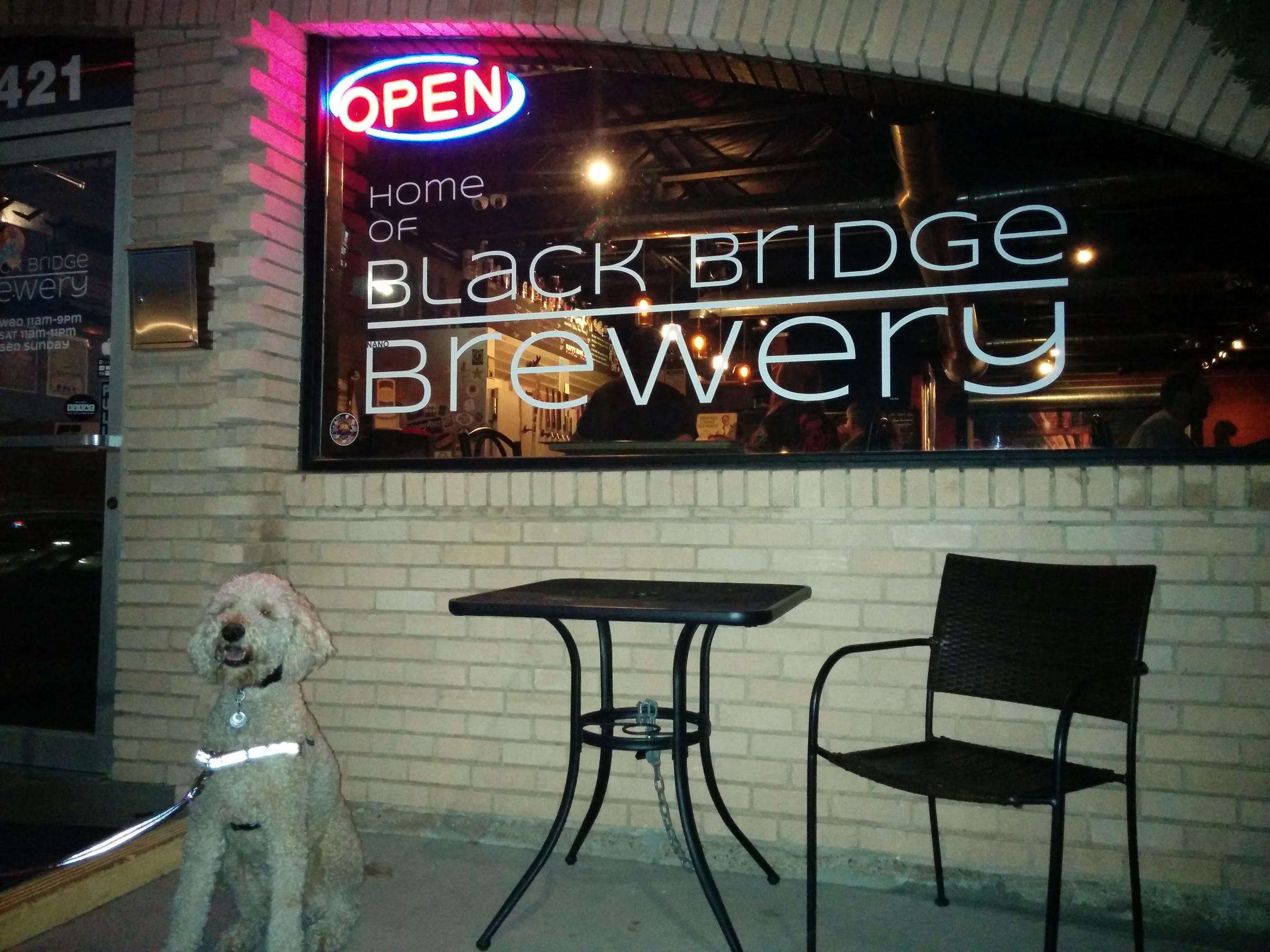 Pet Friendly Black Bridge Brewery