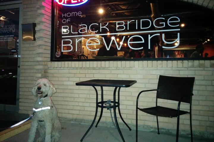 Pet Friendly Black Bridge Brewery
