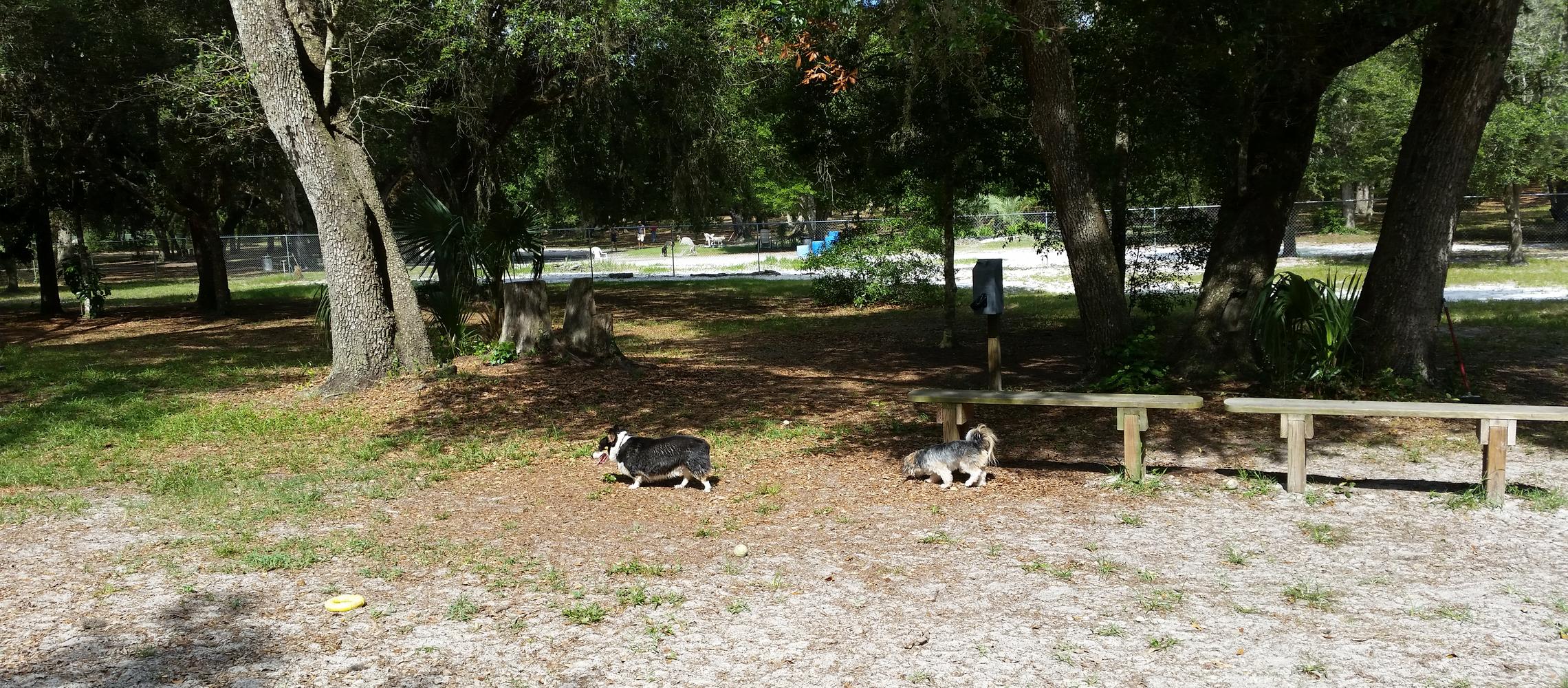 Dog Friendly Inverness, FL