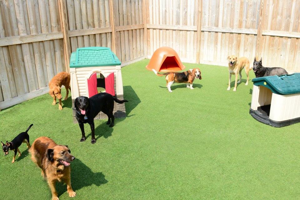 Directory of Doggie Daycare Boarding in Bay Village OH BringFido