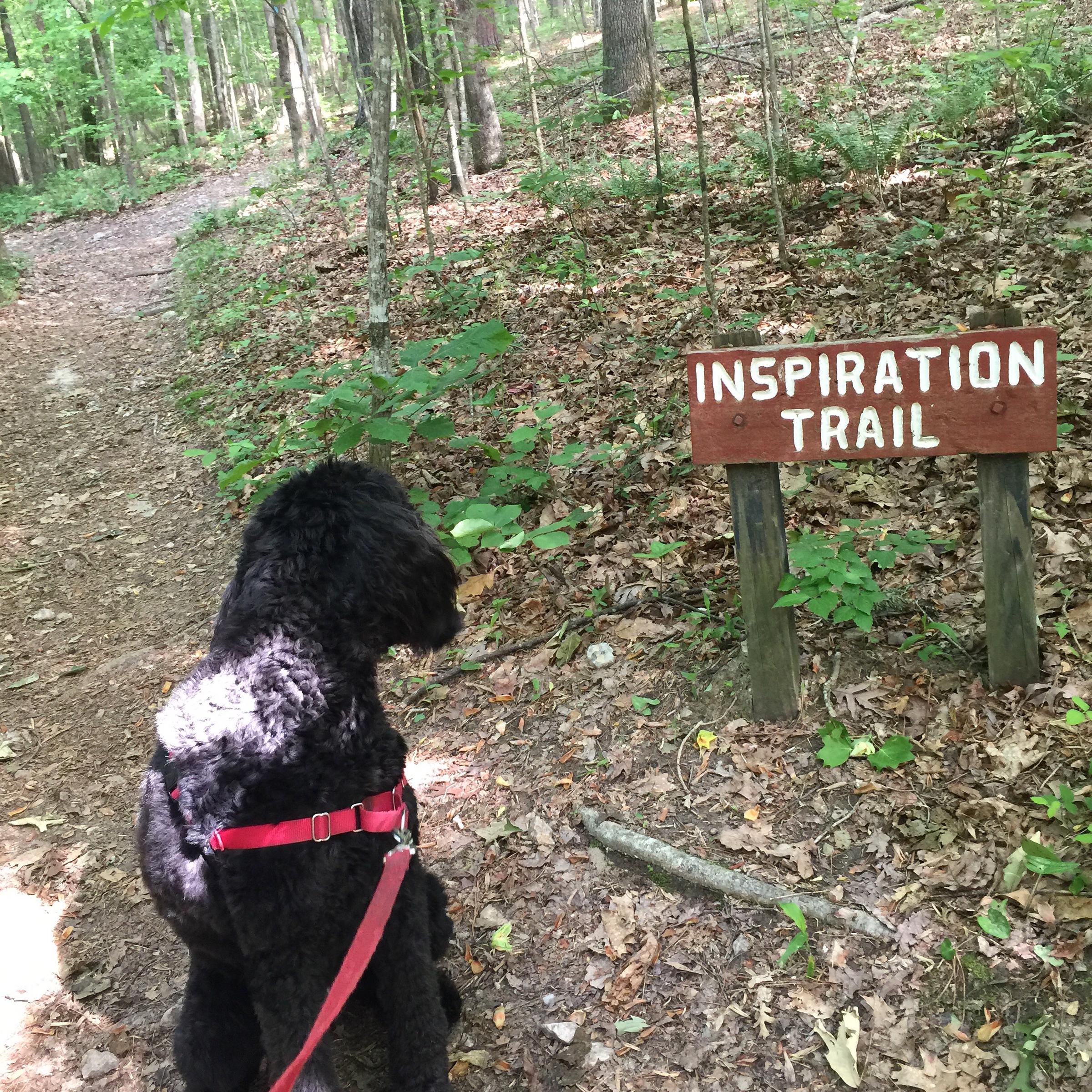 Pet Friendly Inspiration Trail