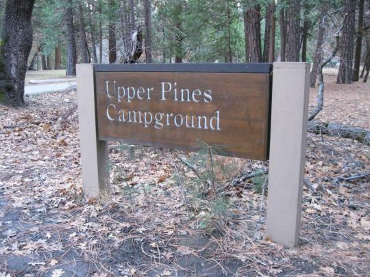Pet Friendly Upper Pines Campground