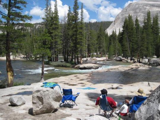 are dogs allowed in tuolumne meadows