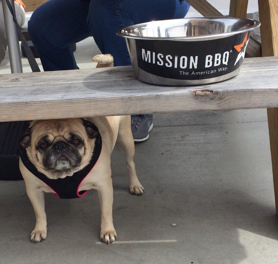 Pet Friendly Mission BBQ