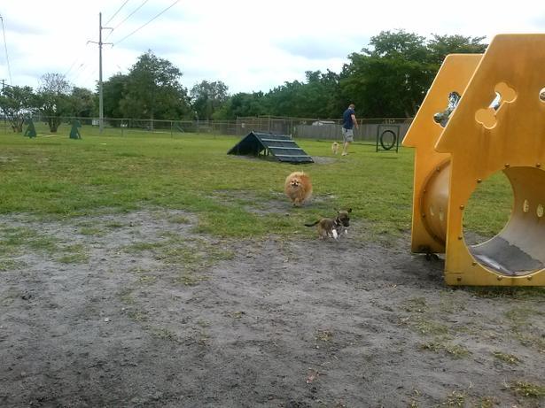 johnson street dog park
