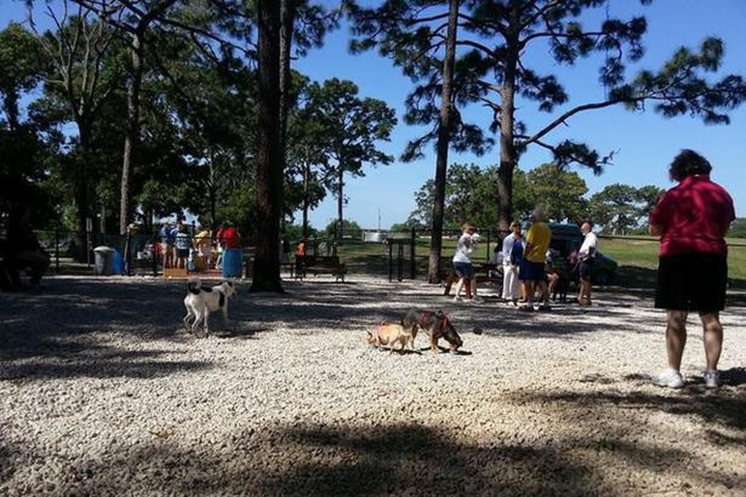 Ed Austin Dog Park