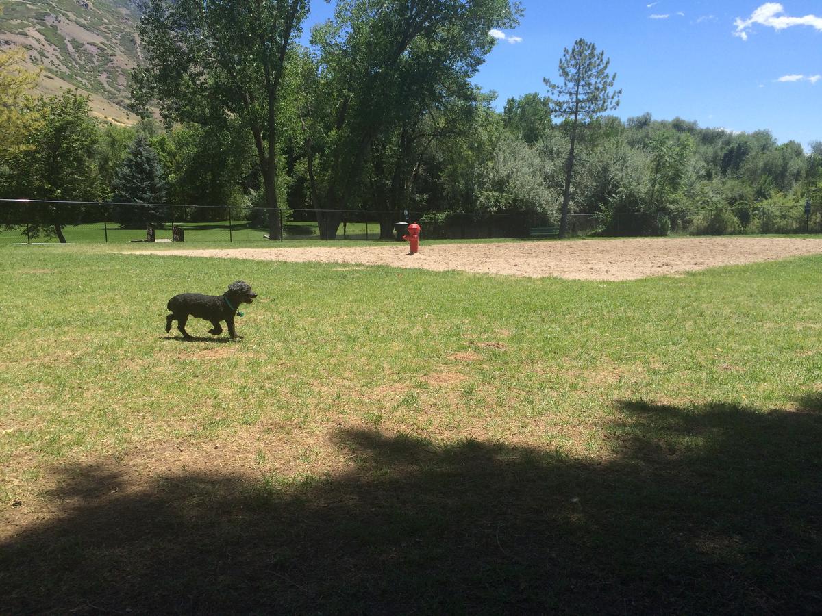 Dog Friendly Provo, UT BringFido