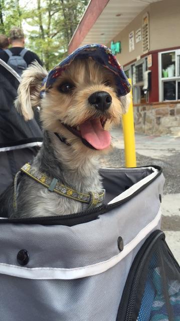 knoebels stroller rental