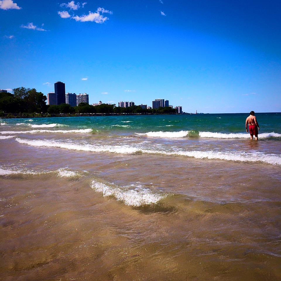 are dogs allowed at foster beach chicago