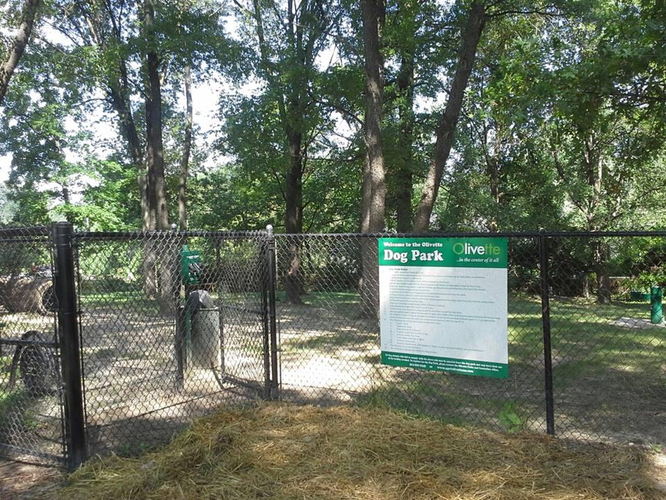Pet Friendly Dog Park at Irv Zeid Park