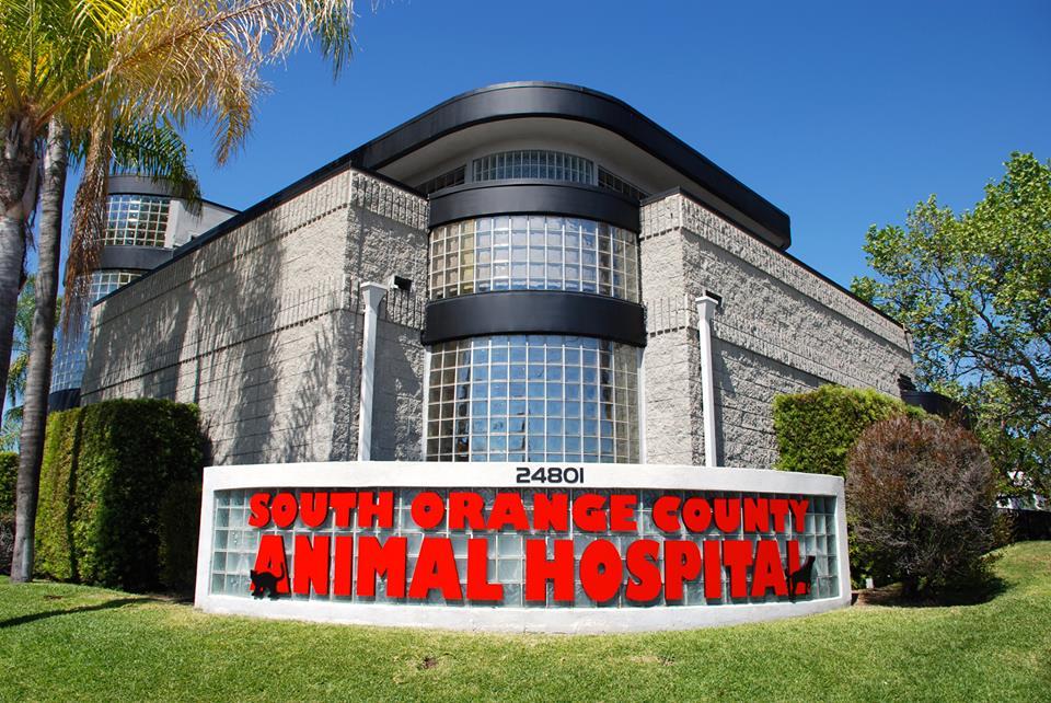 Pet Friendly South Orange County Animal Hospital