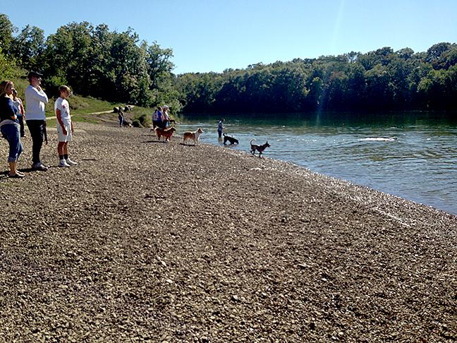 Shawnee best sale dog park