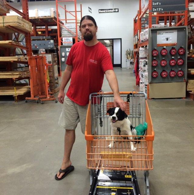 Home depot pet sales policy