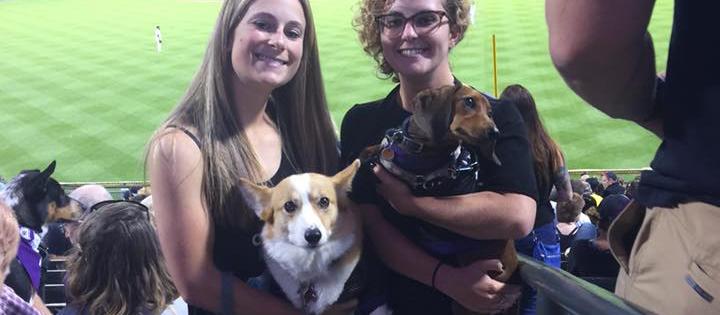 Enjoying a beautiful evening at Coors Field with the doggies. Enjoying a beautiful evening at Coors Field with the doggies.