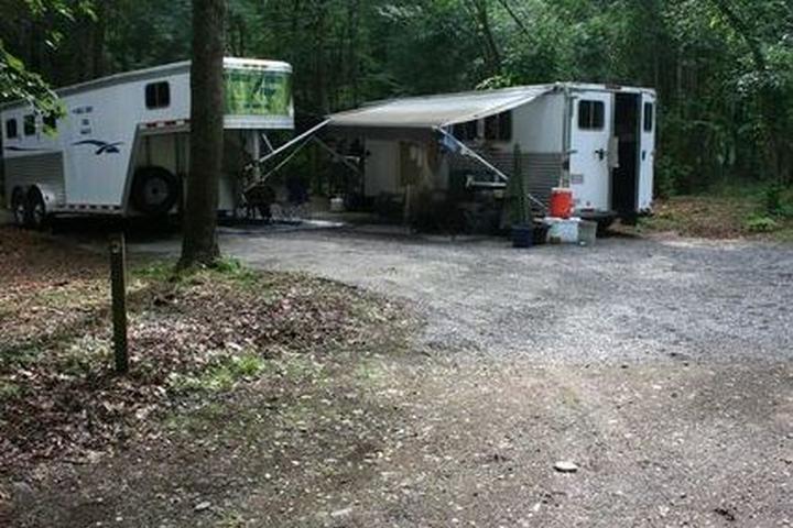 Pet Friendly Cataloochee Horse Camp Campground