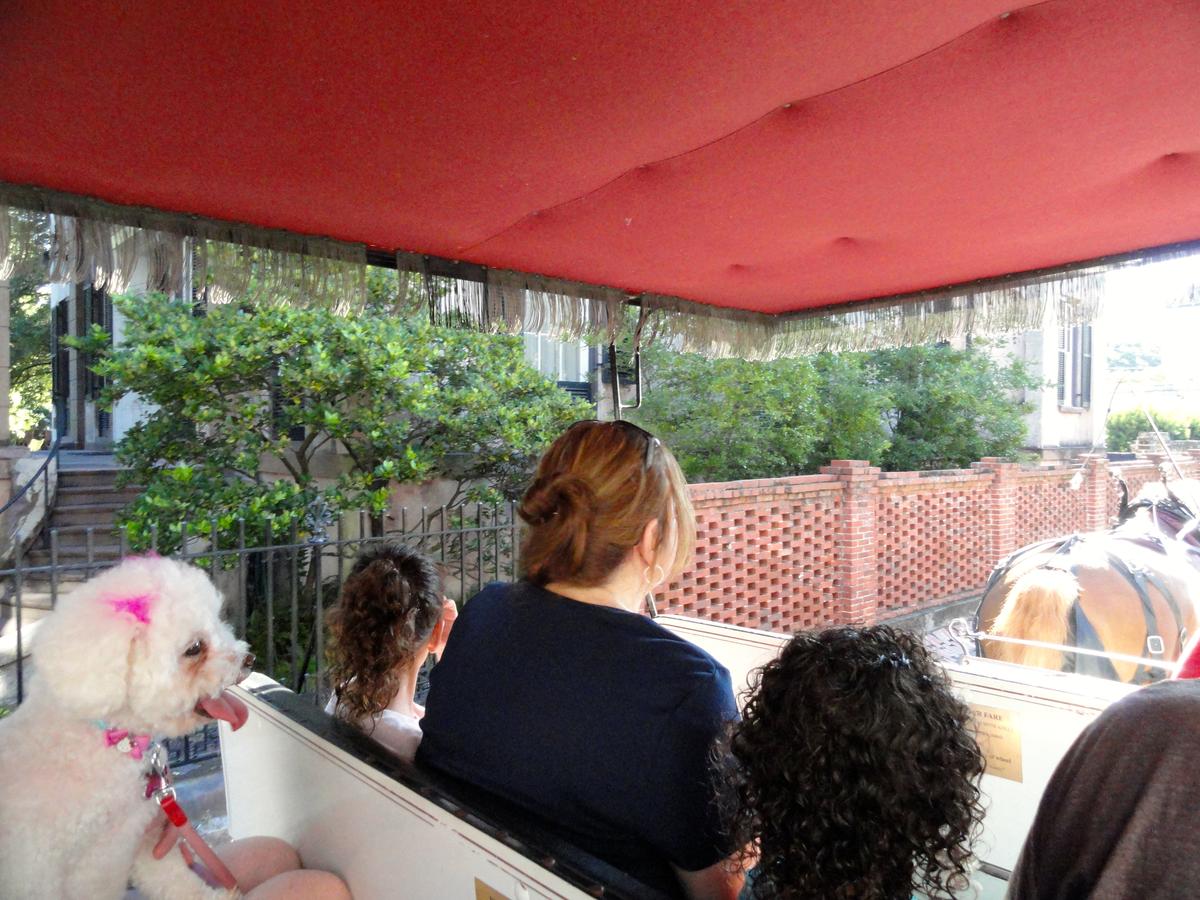 Carriage Tours of Savannah