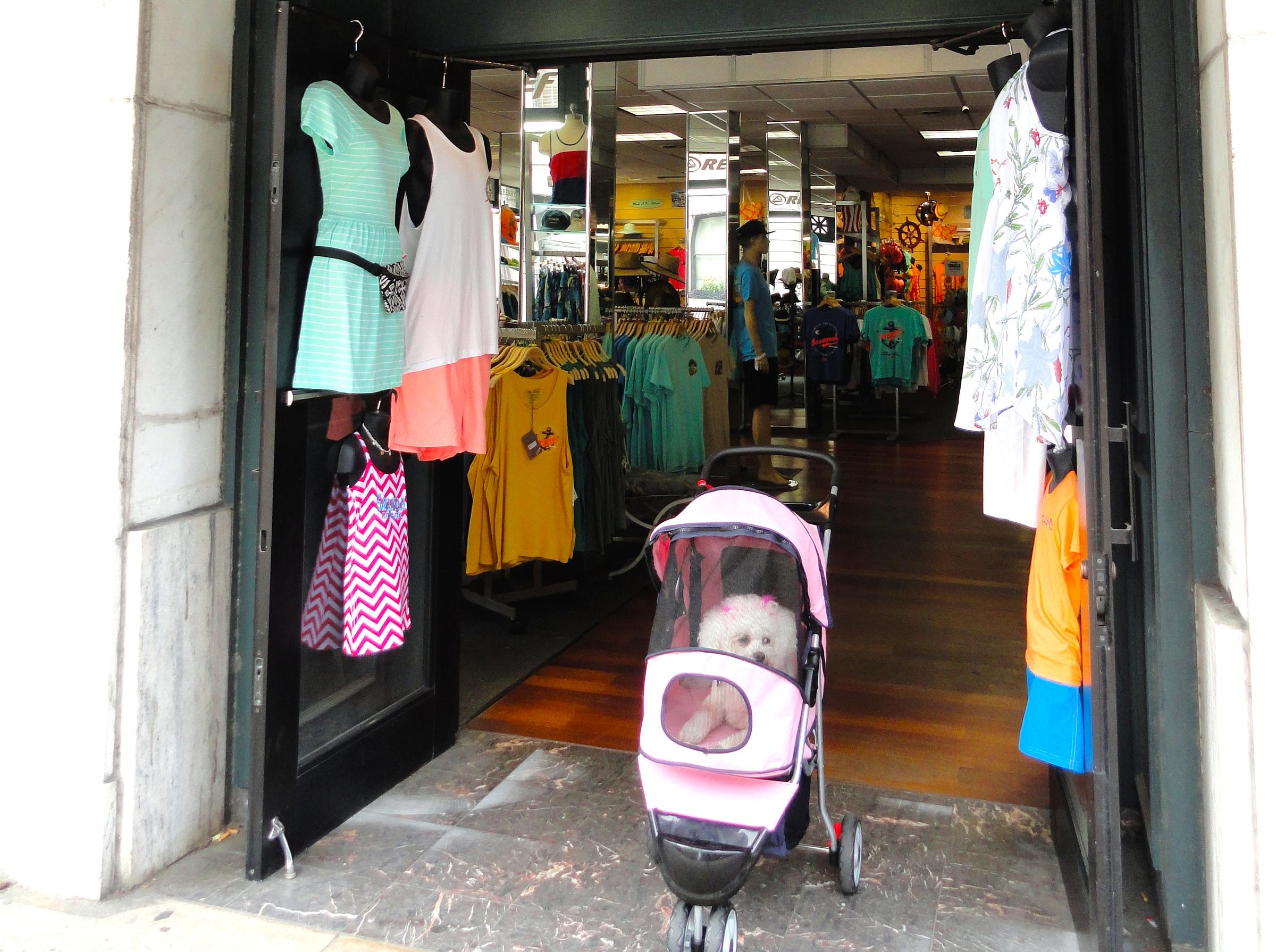 Dog Friendly Shopping In Savannah Ga Bringfido Dog Friendly Shopping In Savannah Ga Bringfido