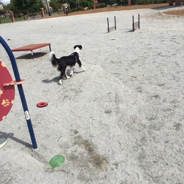 Dog Park at Evans Towne Center