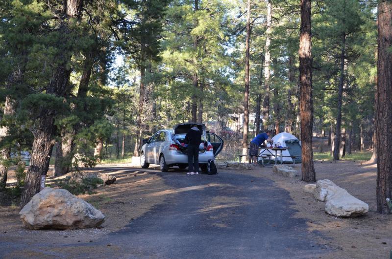 Pet Friendly South Rim Campground