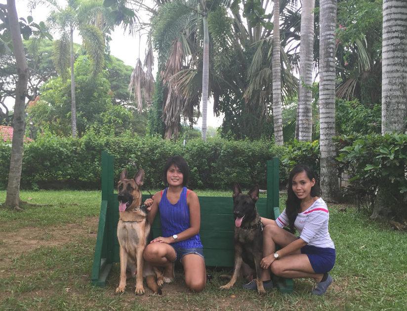 best obedience school for dogs near me