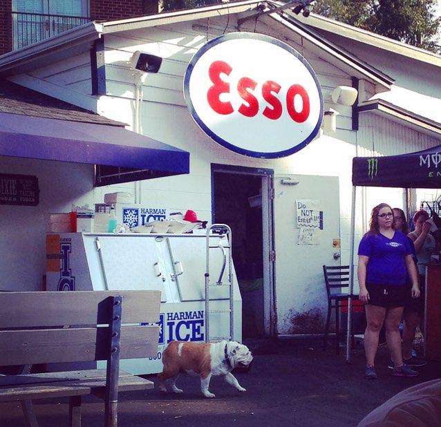 Pet Friendly The Esso Club